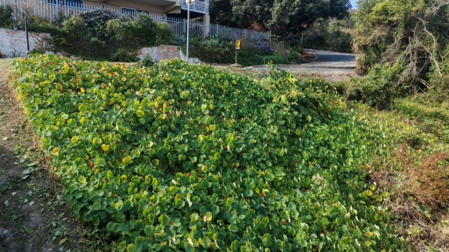  Bedroom Property for Sale in Glentana Western Cape